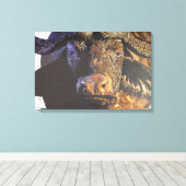 Toile Le Cap Buffalo (Insitu (Plancher de Bois))