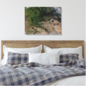 Toile Le changement de végétation (Insitu(Chambre))