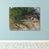 Toile Le changement de végétation (Insitu (Plancher de Bois))