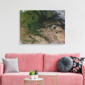 Toile Le changement de végétation (Insitu(Salon))