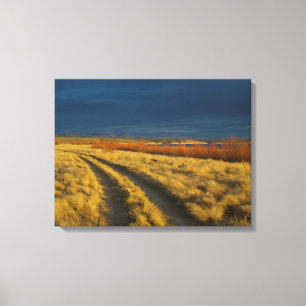 Toile Le coucher de soleil met en valeur l'écorce rouge