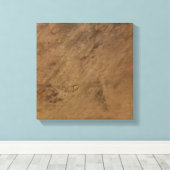 Toile Le cratère Tenoumer en Mauritanie (Insitu (Plancher de Bois))