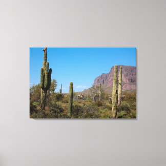 Toile Le désert de Sonora en Arizona