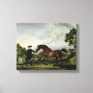 Toile Le duc de l'étalon "blanc " de la baie d'Ancaster