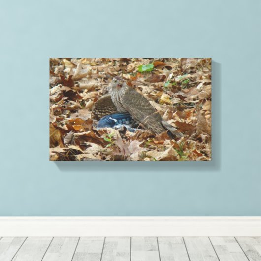 Toile Le faucon de Cooper avec sa proie (Insitu (Plancher de Bois))