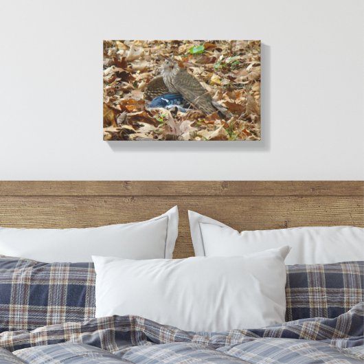 Toile Le faucon de Cooper avec sa proie (Insitu(Chambre))