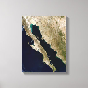 Toile Le golfe de Californie
