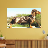 Toile Le Grand Dachshund (Insitu(Salon))