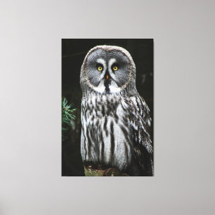 Toile Le grand hibou gris 40x60 (100x150cm) waccna