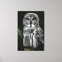 Le grand hibou gris 40x60 (100x150cm) waccnm