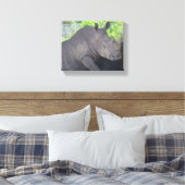 TOILE LE GRAND RHINO (Insitu(Chambre))