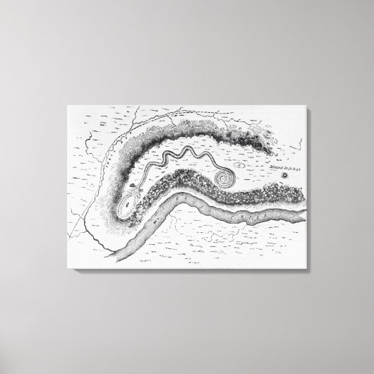 Toile Le Grand Serpent (Recto)