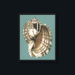 Toile Le joyau de l'océan<br><div class="desc">Un des plus beaux joyaux de l'océan est dans cette image. Trouvez cette grande coquille de Conch dans cette pièce encadrée d'art moderne. Cette grande image de coquille de Conch a un arrière - plan turquoise,  sépia et coquille blanche. Détendez-vous avec cette grande oeuvre d'art naturel.</div>