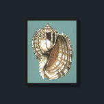 Toile Le joyau de l'océan<br><div class="desc">Un des plus beaux joyaux de l'océan est dans cette image. Trouvez cette grande coquille de Conch dans cette pièce encadrée d'art moderne. Cette grande image de coquille de Conch a un arrière - plan turquoise,  sépia et coquille blanche. Détendez-vous avec cette grande oeuvre d'art naturel.</div>