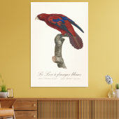 Toile Le Lori a franges bleues (Insitu(Salon))