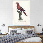Toile Le Lori ecaille / Lory à rayures bleues (Insitu(Chambre))