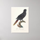 Toile Le Lori noir / Lory noir (Recto)