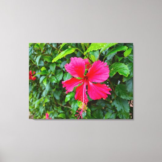 TOILE LE MATIN DU PARADIS (Recto)