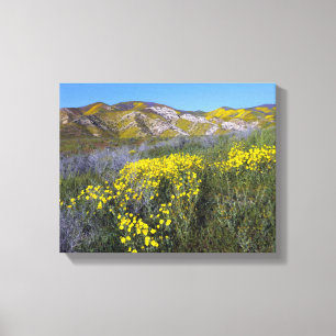 Toile Le monument national de Carrizo Plain
