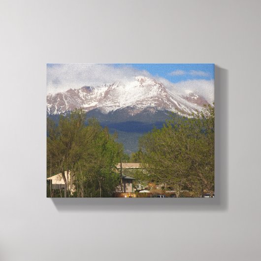 Toile Le mur de la nature (Recto)