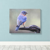 Toile Le myrtille de l'Est mâle dans la pluie (Insitu (Plancher de Bois))