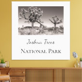 Toile Le Parc national de Joshua Trees (Insitu(Salon))