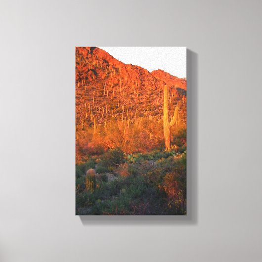 Toile Le Parc national du Saguaro (Recto)