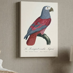 Toile Le Perroquet cendre Tapire