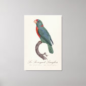 Toile Le Perroquet Langlois (Recto)
