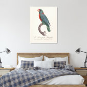 Toile Le Perroquet Langlois de Jacques Barraband (Insitu(Chambre))