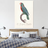 Toile Le Perroquet Langlois de Jacques Barraband (Insitu(Chambre))
