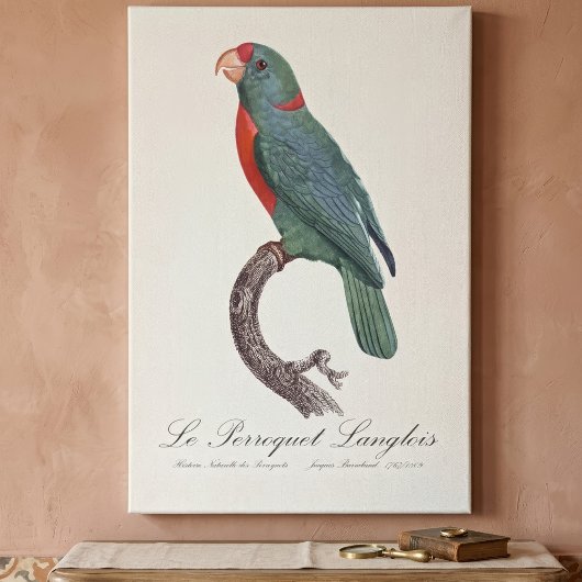 Toile Le Perroquet Langlois de Jacques Barraband