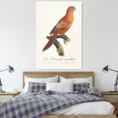 Toile Le Perruche écarlate (Insitu(Chambre))