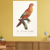 Toile Le Perruche écarlate (Insitu(Salon))