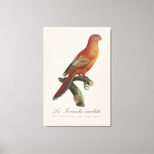 Toile Le Perruche écarlate (Recto)