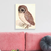 Toile Le Petit hibou | Albrecht Dürer (Insitu(Salon))