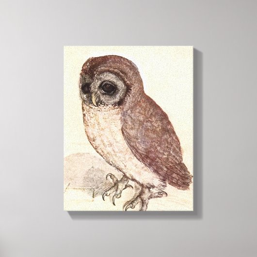 Toile Le Petit hibou | Albrecht Dürer (Recto)