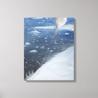 Le premier Aeronaut du capitaine Scott Antarctica.