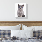Toile Le regard galactique Le Kitty Stellar dans les lun (Insitu(Chambre))