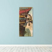 Toile Le remède à la catastrophe du Dr Sage (Insitu (Plancher de Bois))