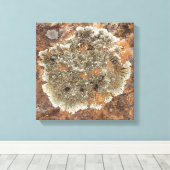 Toile Le rock - L'art dans la nature (Insitu (Plancher de Bois))