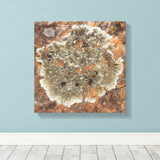 Toile Le rock - L'art dans la nature (Insitu (Plancher de Bois))