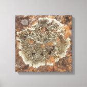 Toile Le rock - L'art dans la nature (Recto)