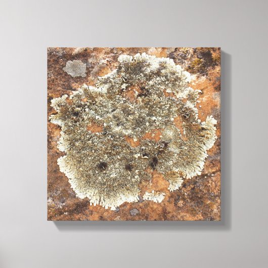 Toile Le rock - L'art dans la nature (Recto)