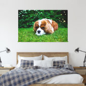 Toile Le roi Cavalier Charles Spaniel Blenheim en herbe (Insitu(Chambre))