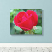 Toile Le Rose Parfait ! (Insitu (Plancher de Bois))