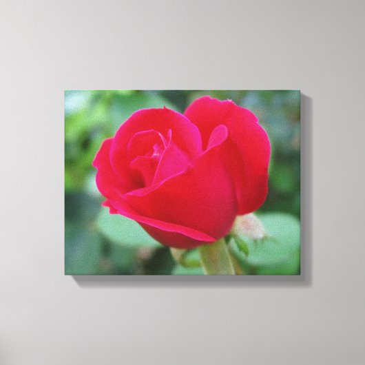 Toile Le Rose Parfait ! (Recto)