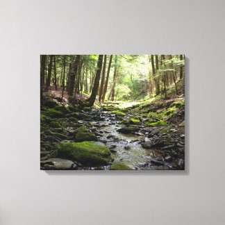 Toile Le ruisseau paisible dans les bois