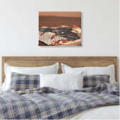 Toile Le site d'atterrissage du rover (Insitu(Chambre))