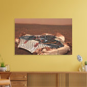 Toile Le site d'atterrissage du rover (Insitu(Salon))